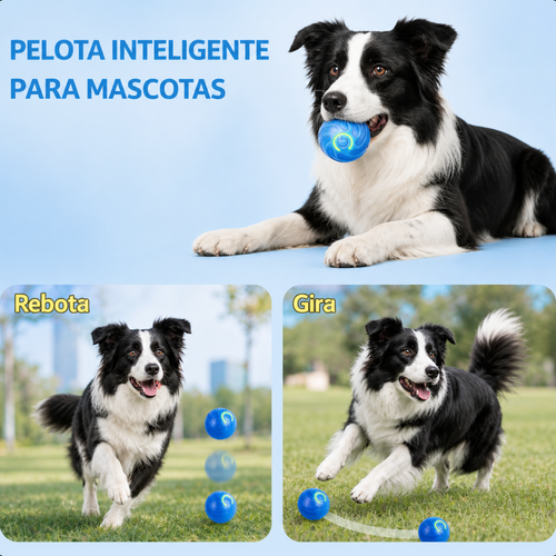 Pelota inteligente para mascotas