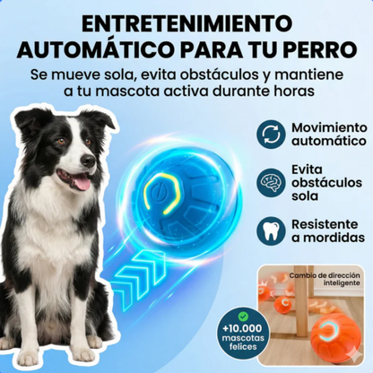 Pelota inteligente para mascotas